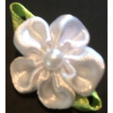 Satinblomma